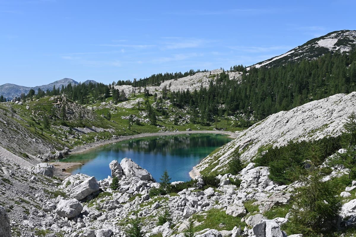 Alpine lake with turquoise water surrounded by rocky slopes and green pine forest under blue sky.