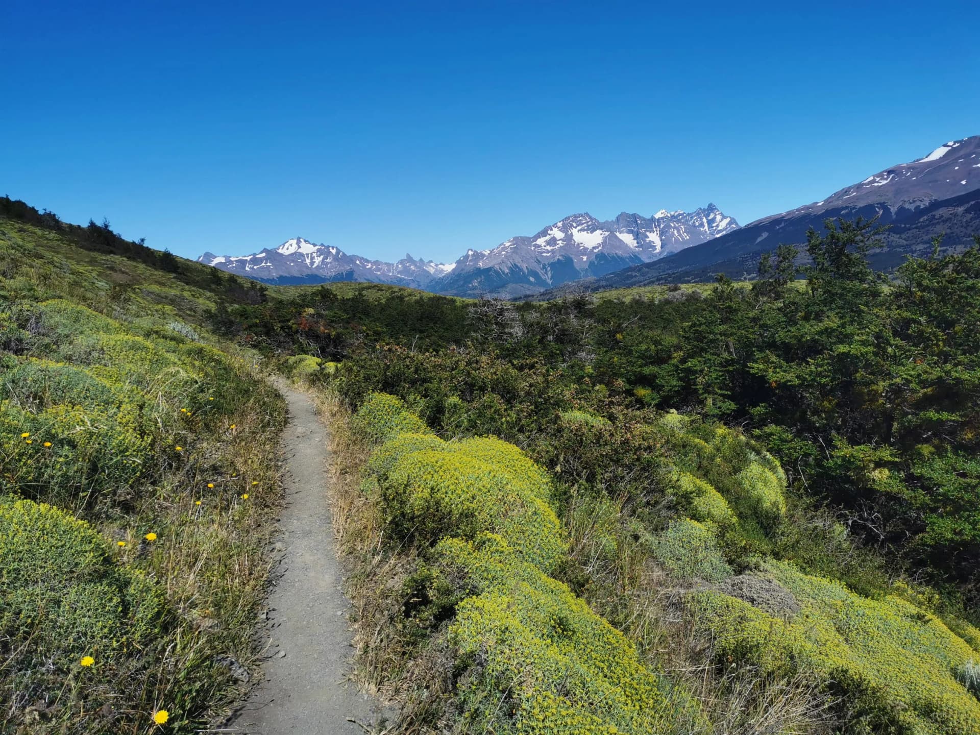 Prepare with comprehensive guides