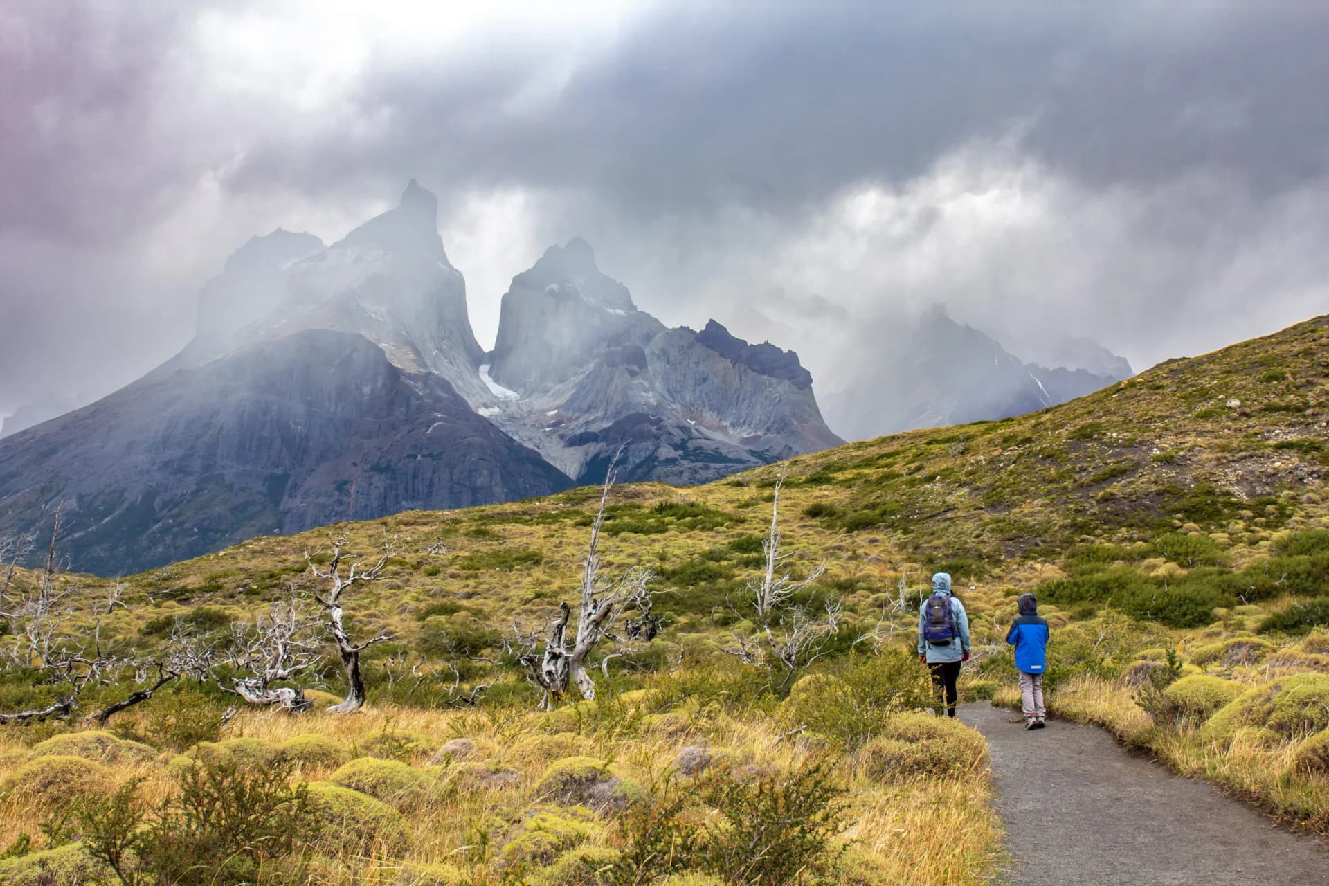 Road to the viewpoint Los Cuernos , Torres del Paine national park in chilean Patagonia