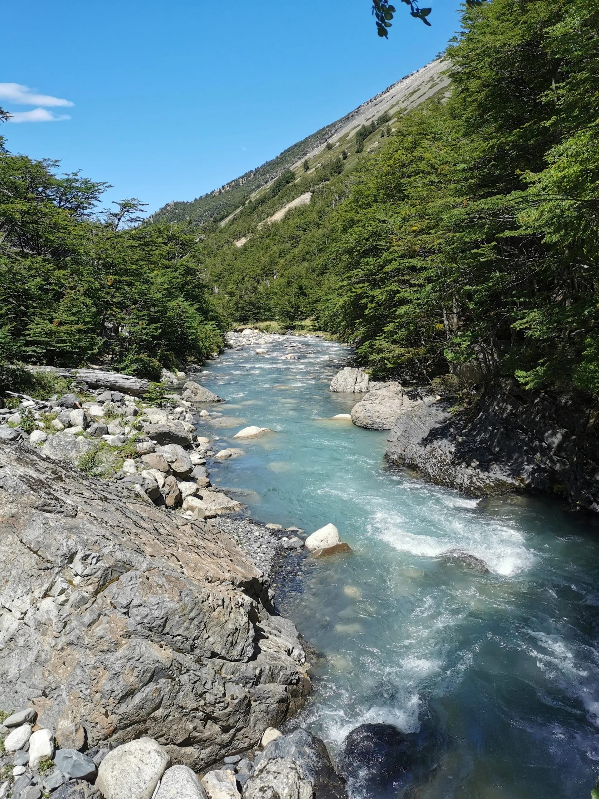 Rushing turquoise river flowing between rocky banks and dense green forest under blue sky.