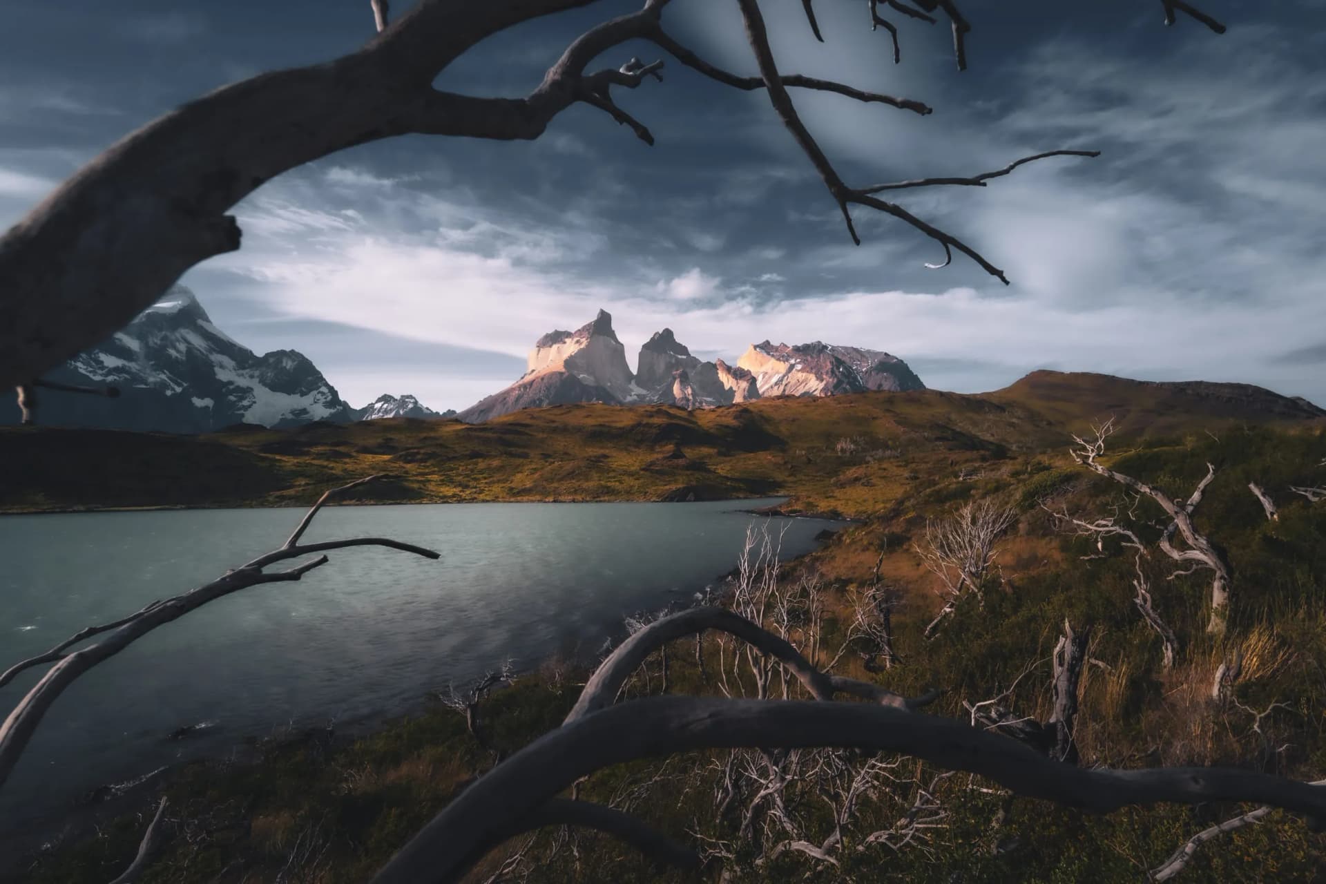 Mountain peaks illuminated over a lake, framed by dark, dead tree branches.