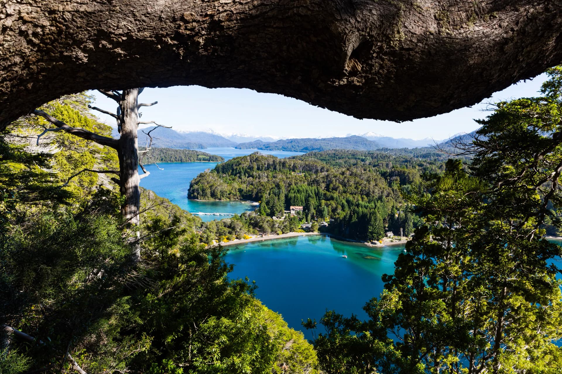 View of Lake Nahuel Huapi through tree branches with snow-capped mountains in background.
